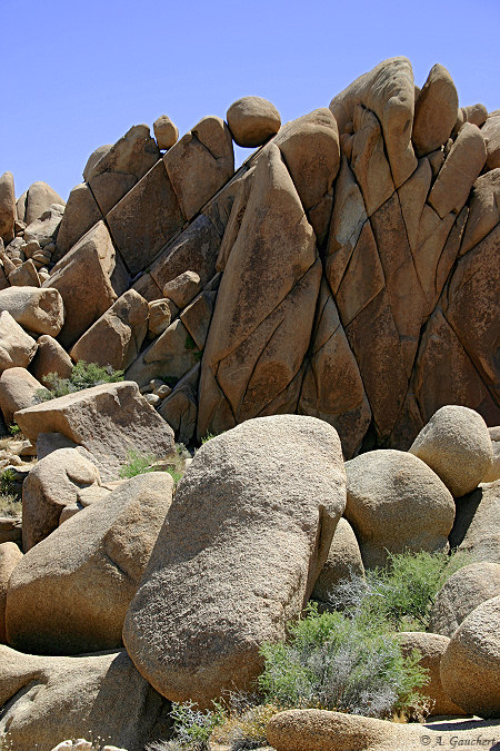 Jumbo Rocks